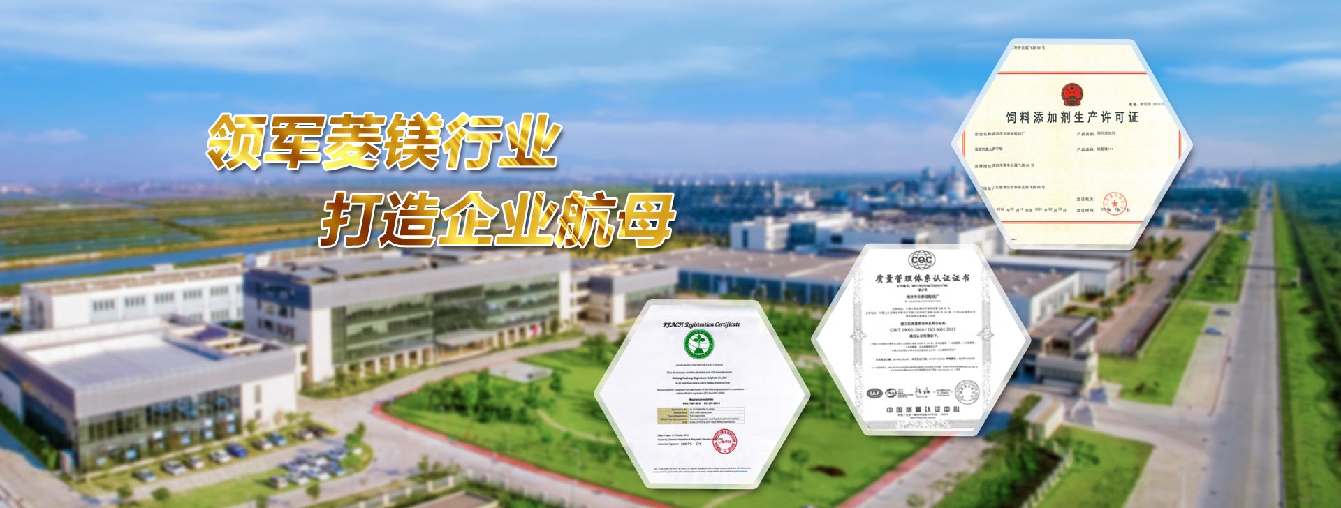 潍坊市国镁化工有限公司